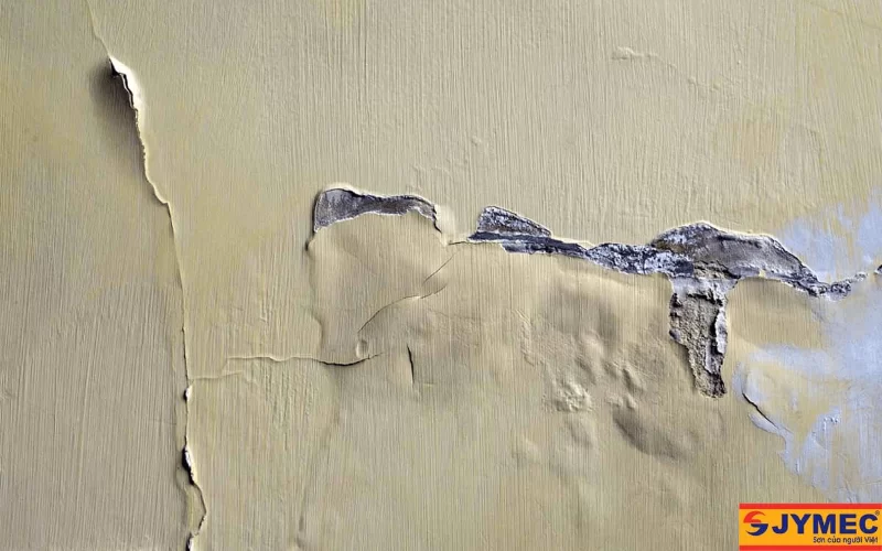 Hiện tượng màng sơn bị phồng rộp