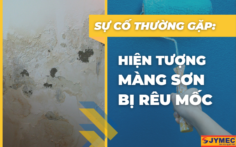 Hiện tượng màng sơn bị rêu mốc