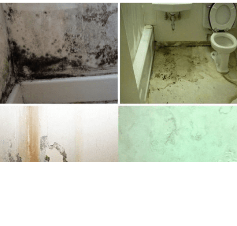 Dùng sơn chống thấm nhà vệ sinh có hiệu quả không?