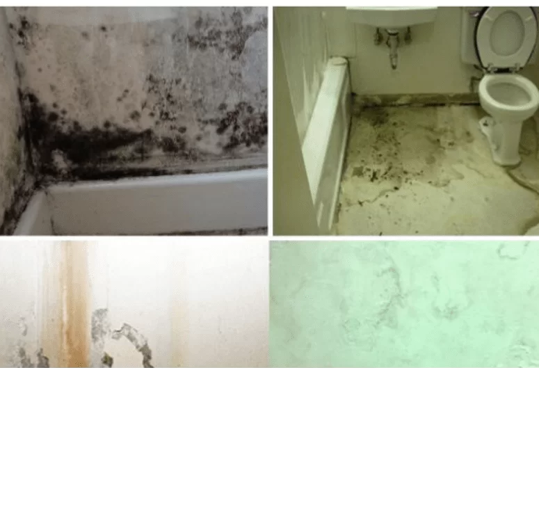 Dùng sơn chống thấm nhà vệ sinh có hiệu quả không?