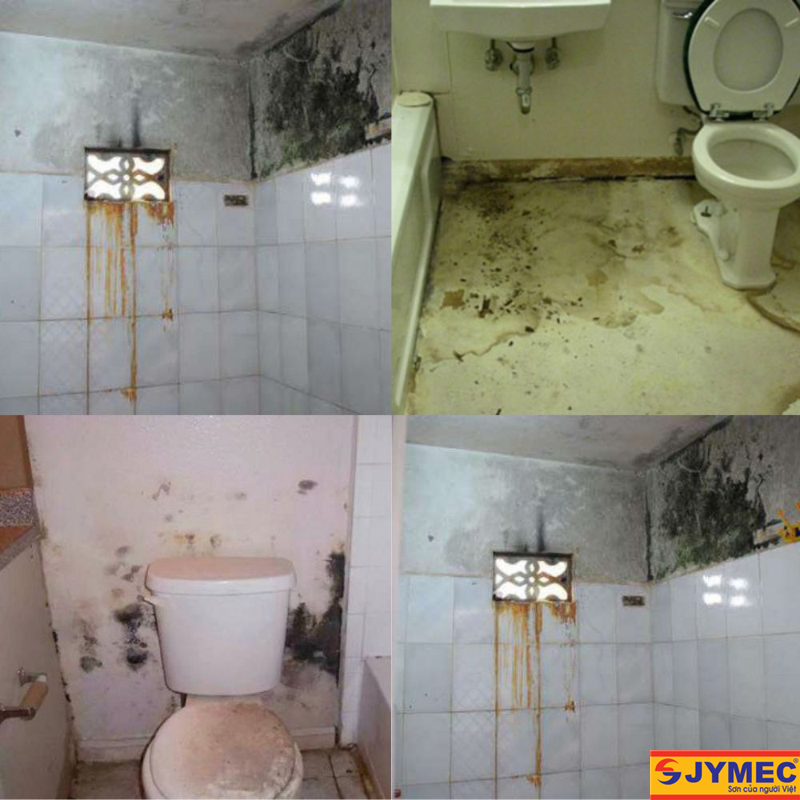Chống thấm nhà vệ sinh và những điều bạn cần biết