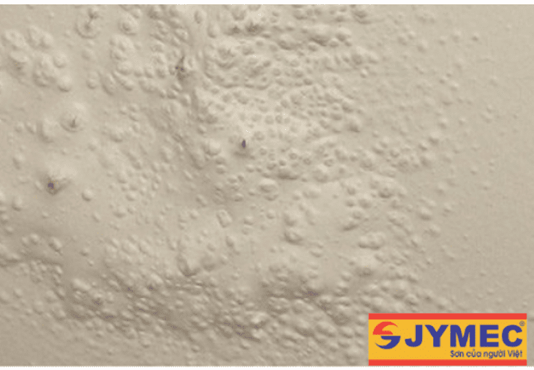 màng sơn ngoại thất bị phồng rộp