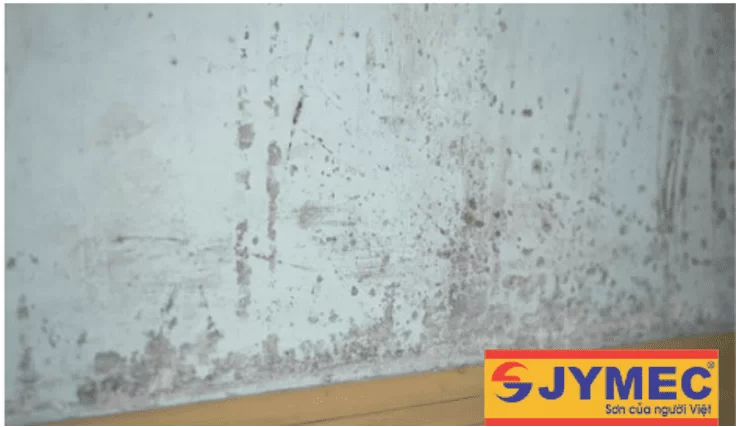 Mẹo hay giúp bạn tẩy vết bẩn trên tường hiệu quả