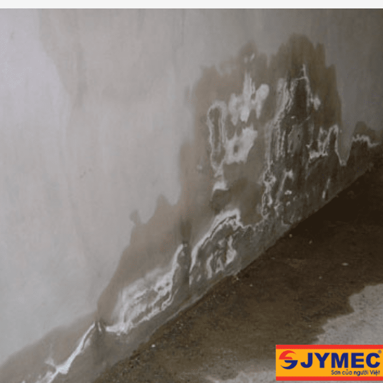 tình trạng bể nước bị thấm