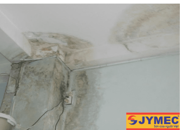 Lý do nên dùng sơn chống thấm