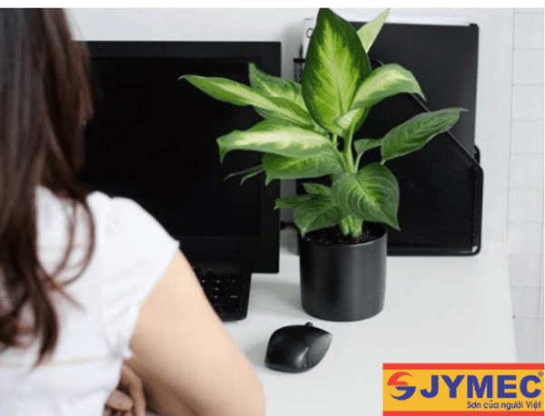 Trang trí khu làm việc của mình