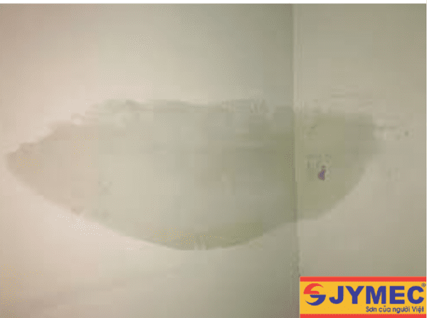 Lý do tường nhà mới xây bị thấm