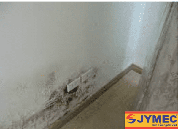 hiện tượng tường nhà bị thấm dột
