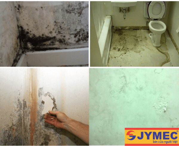 những lưu ý trước khi chống thấm nhà vệ sinh hình 2