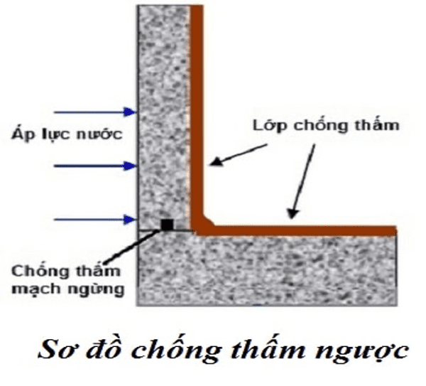 Chống thấm nghịch