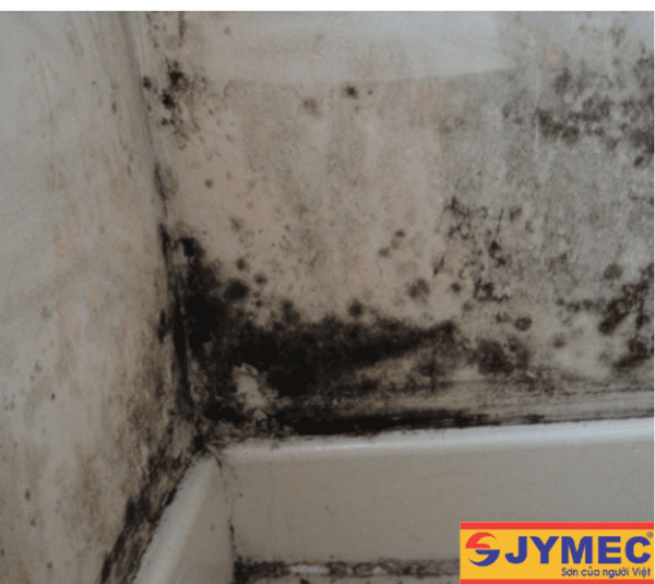 Những ảnh hưởng khi chân tường bị thấm