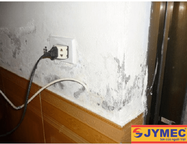 Ốp gạch chân tường chống thấm