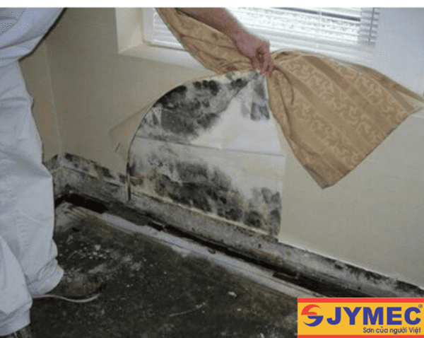 Sử dụng giấy gián tường chống thấm