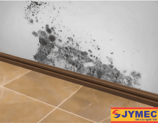 Nguyên nhan chân tường nhà bị thấm
