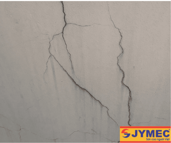 Những tác hại khi tường nhà bị thấm dột