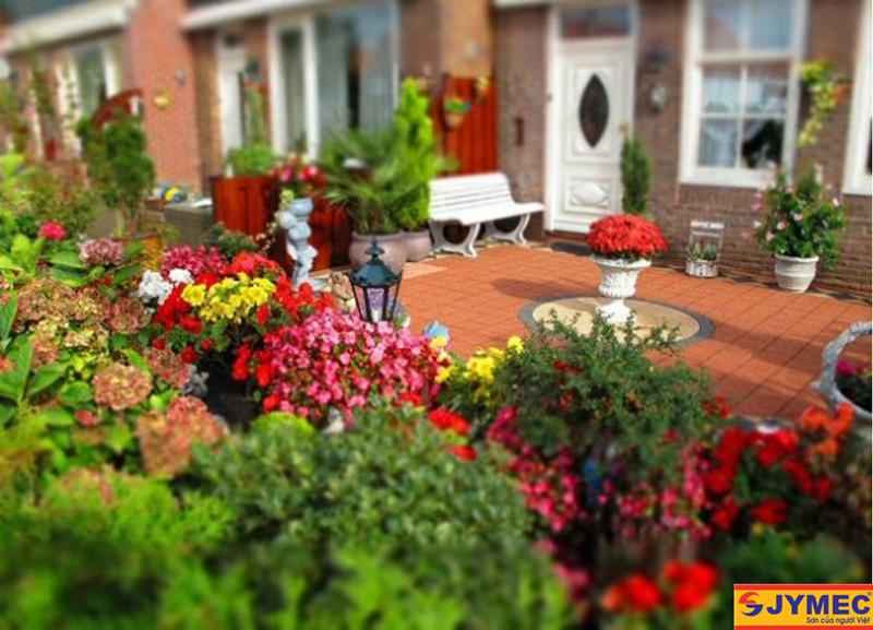 bí kíp tạo ra sân vườn đẹp hình 3