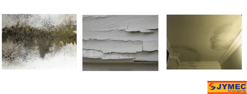 chống thấm tường 10 năm vẫn đẹp
