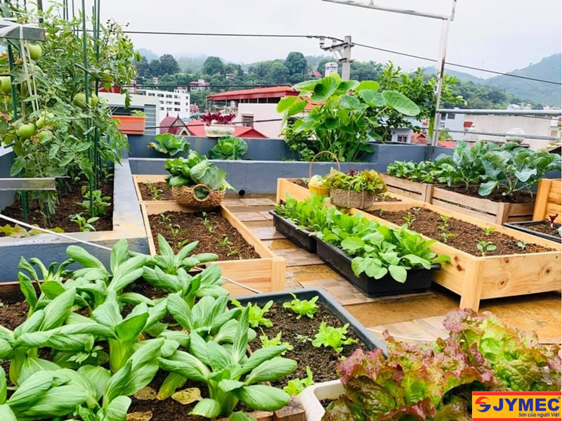 Chia sẻ cách chống thấm vườn sân thượng hiệu quả