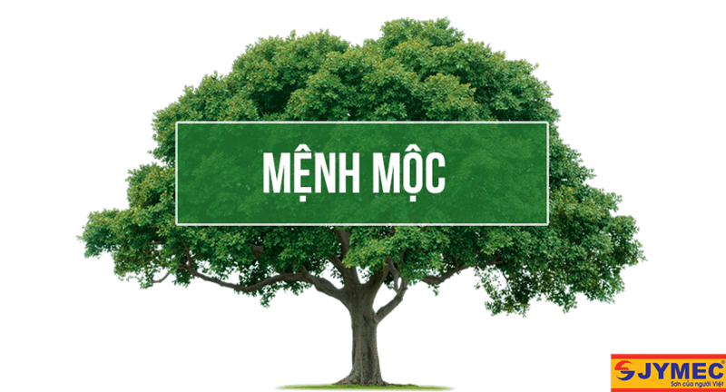 màu sơn ngoại thất cho người mệnh mộc