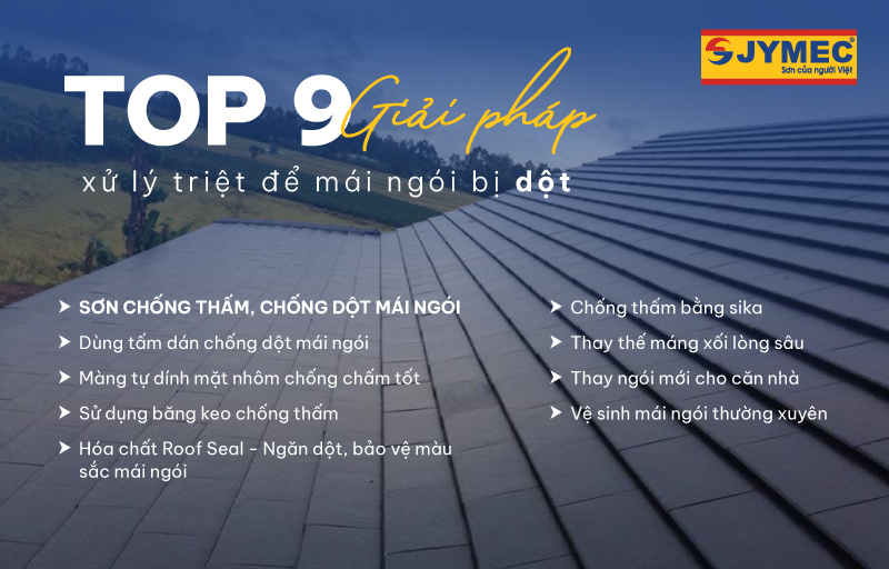 Top 9 Giai Phap Xu Ly Triet De Mai Ngoi Bi Dot