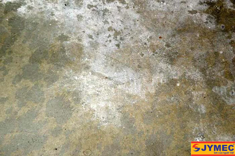 Những dấu hiệu sàn bê tông bị ẩm