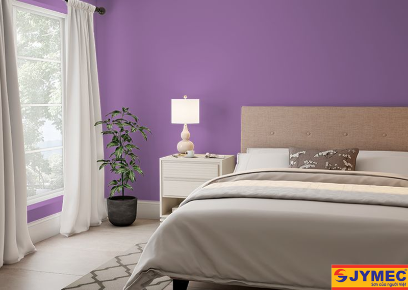 sơn nội thất màu tím hình 7