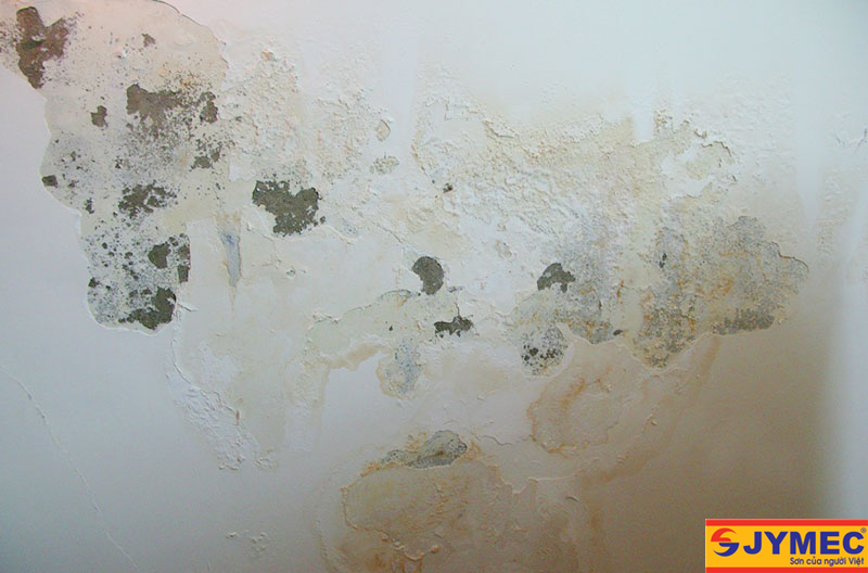 hiện tượng tường nhà bị bong tróc