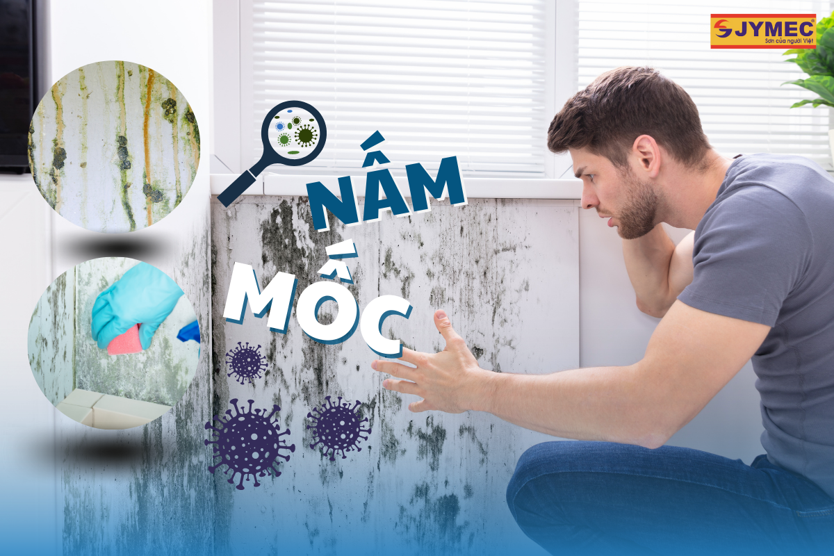 Lý do nên chống nấm mốc cho căn nhà