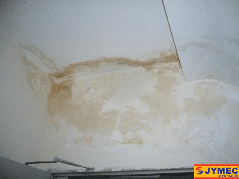 Dấu hiệu trần nhà bị dột