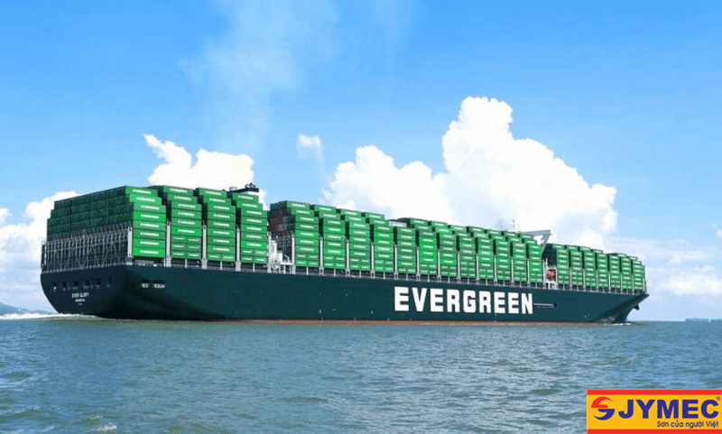 Hãng tàu Evergreen với màu xanh lá thương hiệu