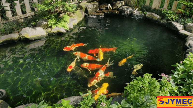 Lựa chọn sơn chống thấm hồ cá không có chất độc hại