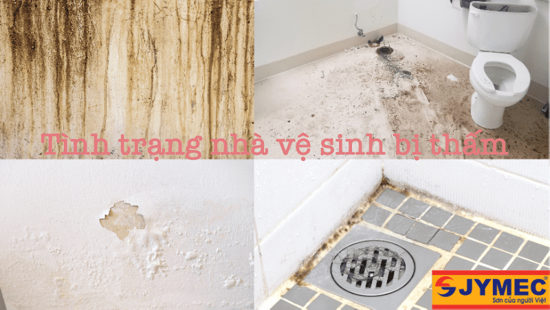 nhà vệ sinh bị thấm dột