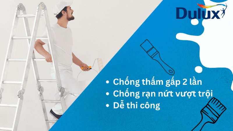 Sơn chống thấm nhà vệ sinh Dulux