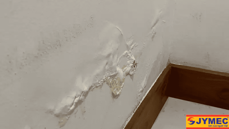 Vết muối hoá trên bề mặt tường nhà