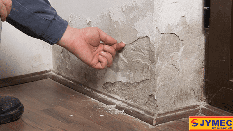 Làm sao để xử lý tình trạng muối hoá tường nhà?