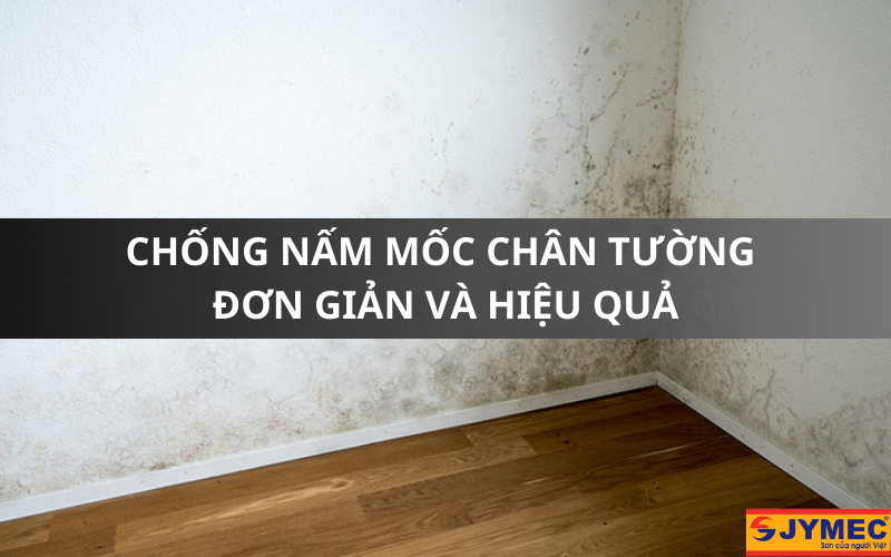 Nấm mốc chân tường: Nguyên nhân, cách khắc phục hiệu quả