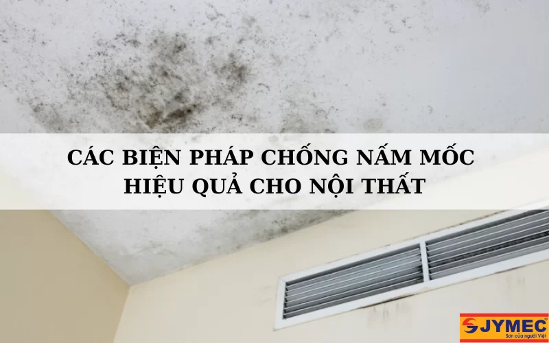 [Giải pháp] Chống nấm mốc nội thất hiệu quả, tối ưu