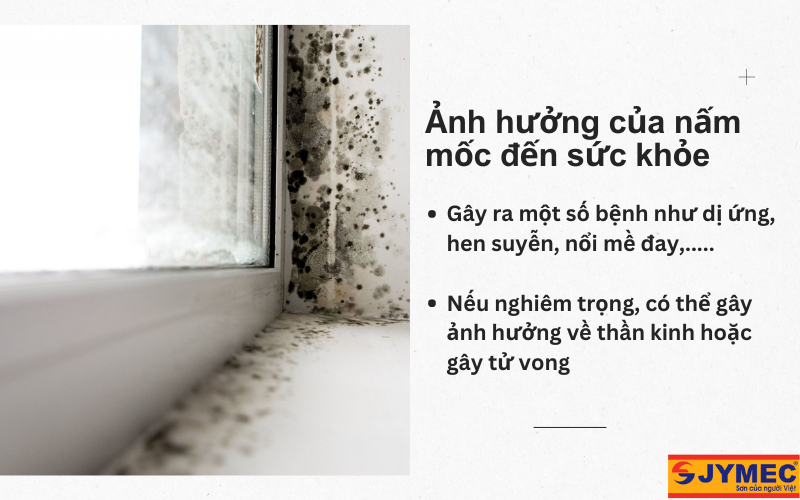 Ảnh hưởng của nấm mốc đến sức khoẻ