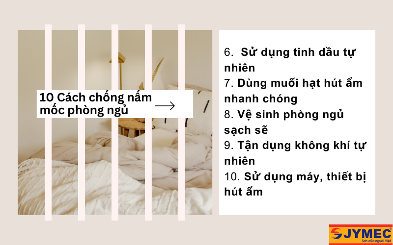 Biện pháp hạn chết nấm mốc