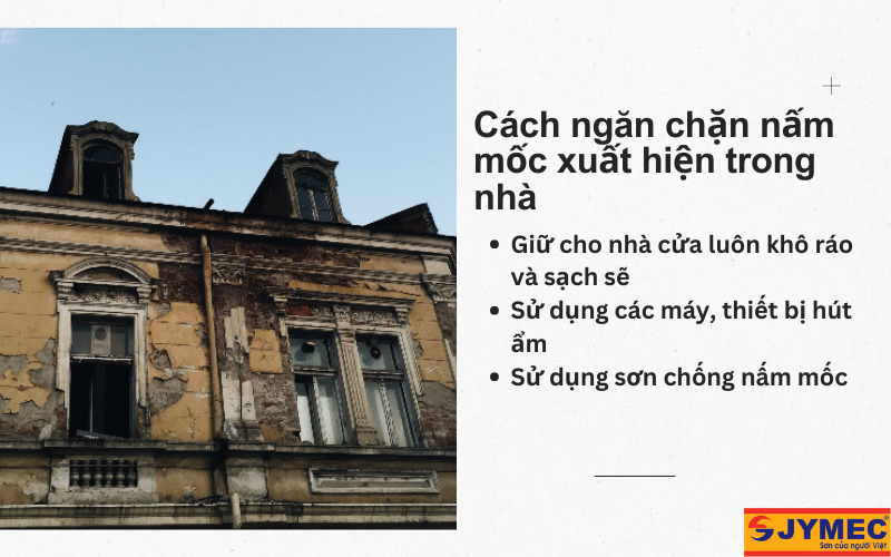 Cách ngăn chặn nấm mốc xuất hiện