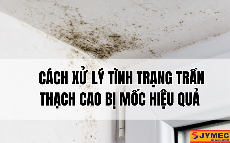 Xử lý trần thạch cao bị mốc như thế nào để hiệu quả