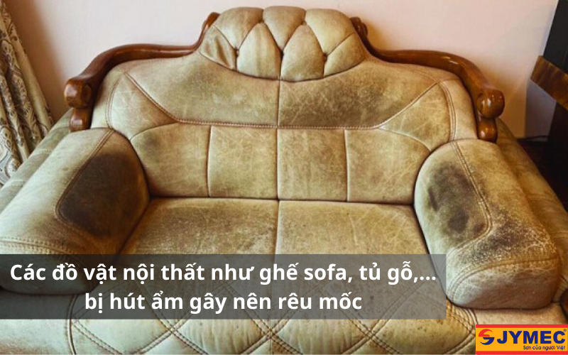 Các đồ nội thất bị rêu mốc gây mất thẩm mỹ