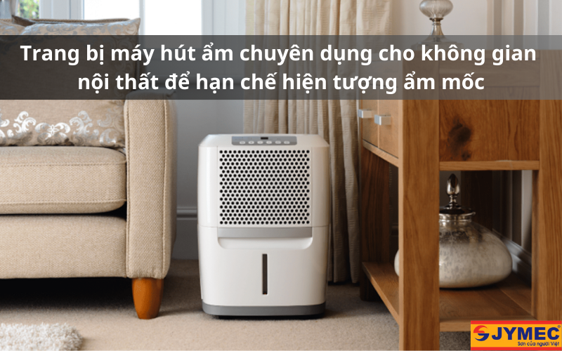 Dùng máy hút ẩm trong không gian nội thất
