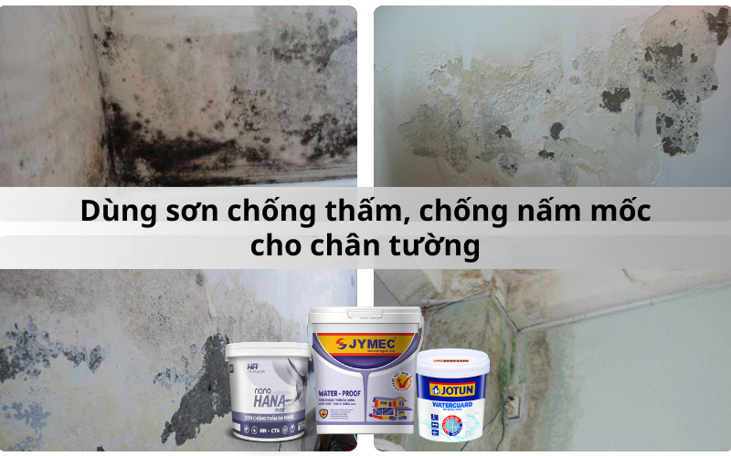 Sử dụng sơn chống nấm mốc