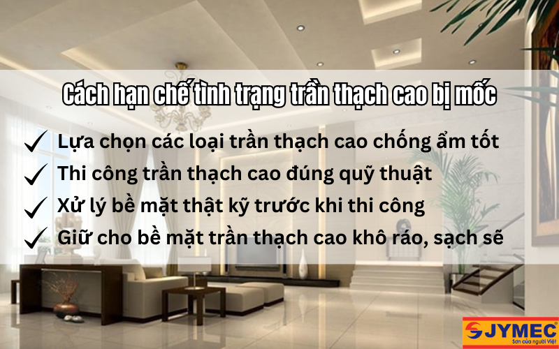 Biện pháp hạn chết tình trạng trần bị mốc