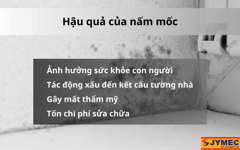 Hậu quả rêu mốc gây ra