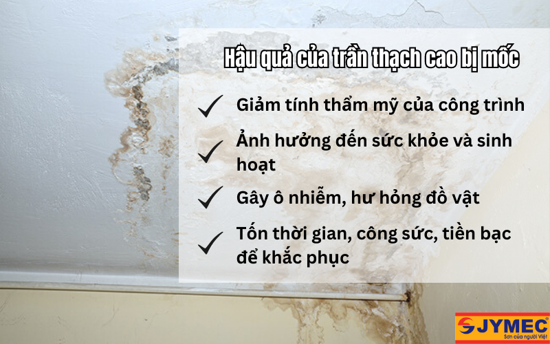 Hậu quả của việc trần thạch cao bị nấm mốc