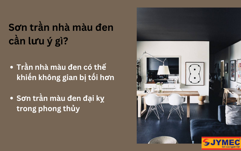 Lưu ý khi sử dụng màu đen cho trần nhà 