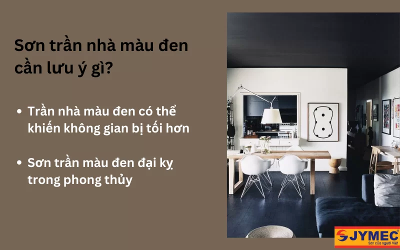 Lưu ý khi sử dụng màu đen cho trần nhà 