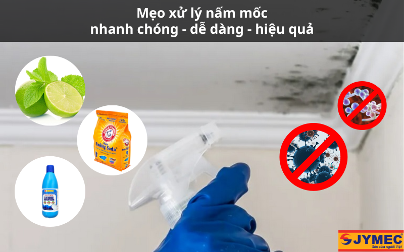Mẹo xử lý nấm mốc hiệu quả